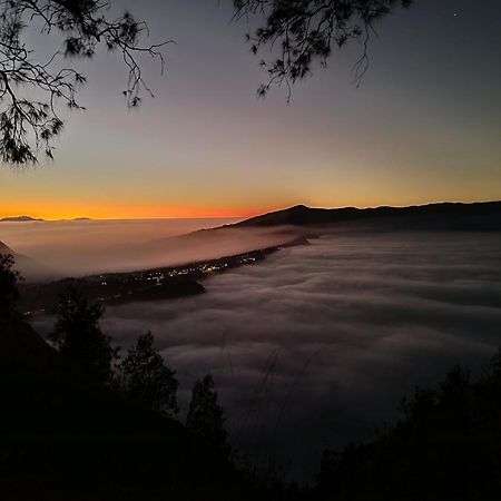 Uciek Tengger Bromo Ngadisari 외부 사진